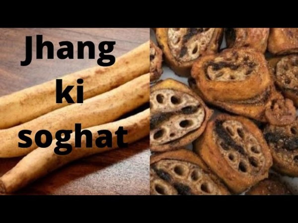 jhang famous food